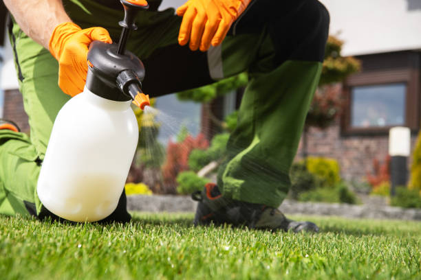Best Pest Prevention Services  in Savage, MN