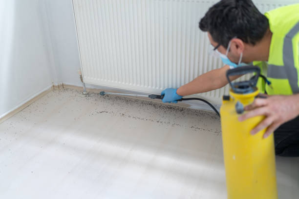 Best Exterminator Services  in Savage, MN